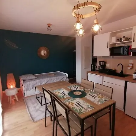 Appartement De La Marmotte Cendree, Dans Residence De Tourisme 3 Etoiles Lourdes Extérieur photo